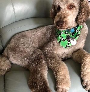 Meet your Posher, Debbie